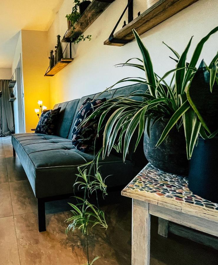 Vakantiehuis Sinne Oostmalle Экстерьер фото